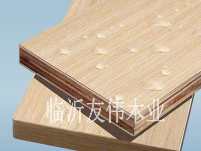 性膠合板運用範圍廣