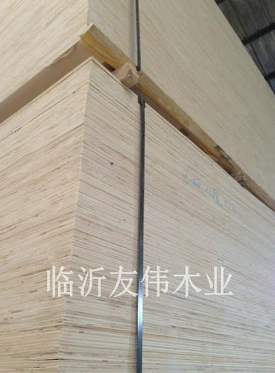 異形托盤板不可貌相，發展前景不可限量